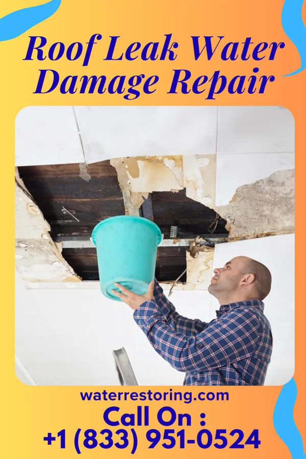 Roof Leak Water Damage Repair in Conde, SD