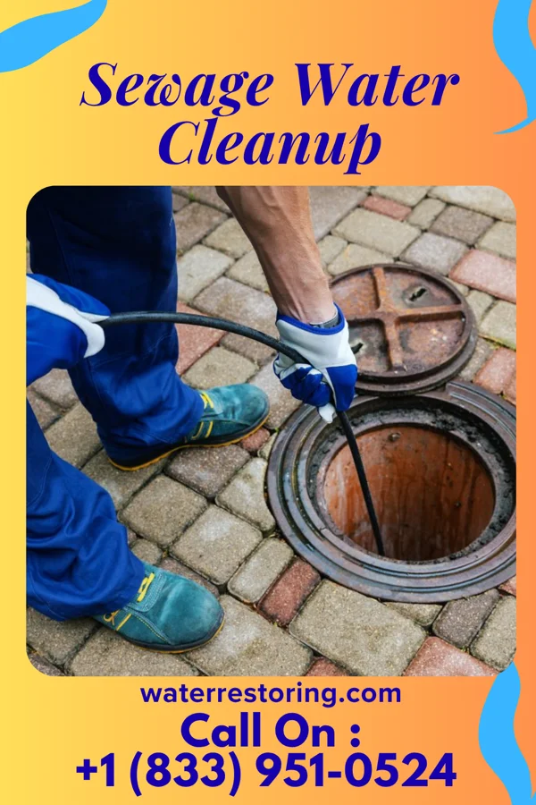 Sewage Water Cleanup in Conde, SD